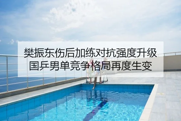 樊振东伤后加练对抗强度升级 国乒男单竞争格局再度生变